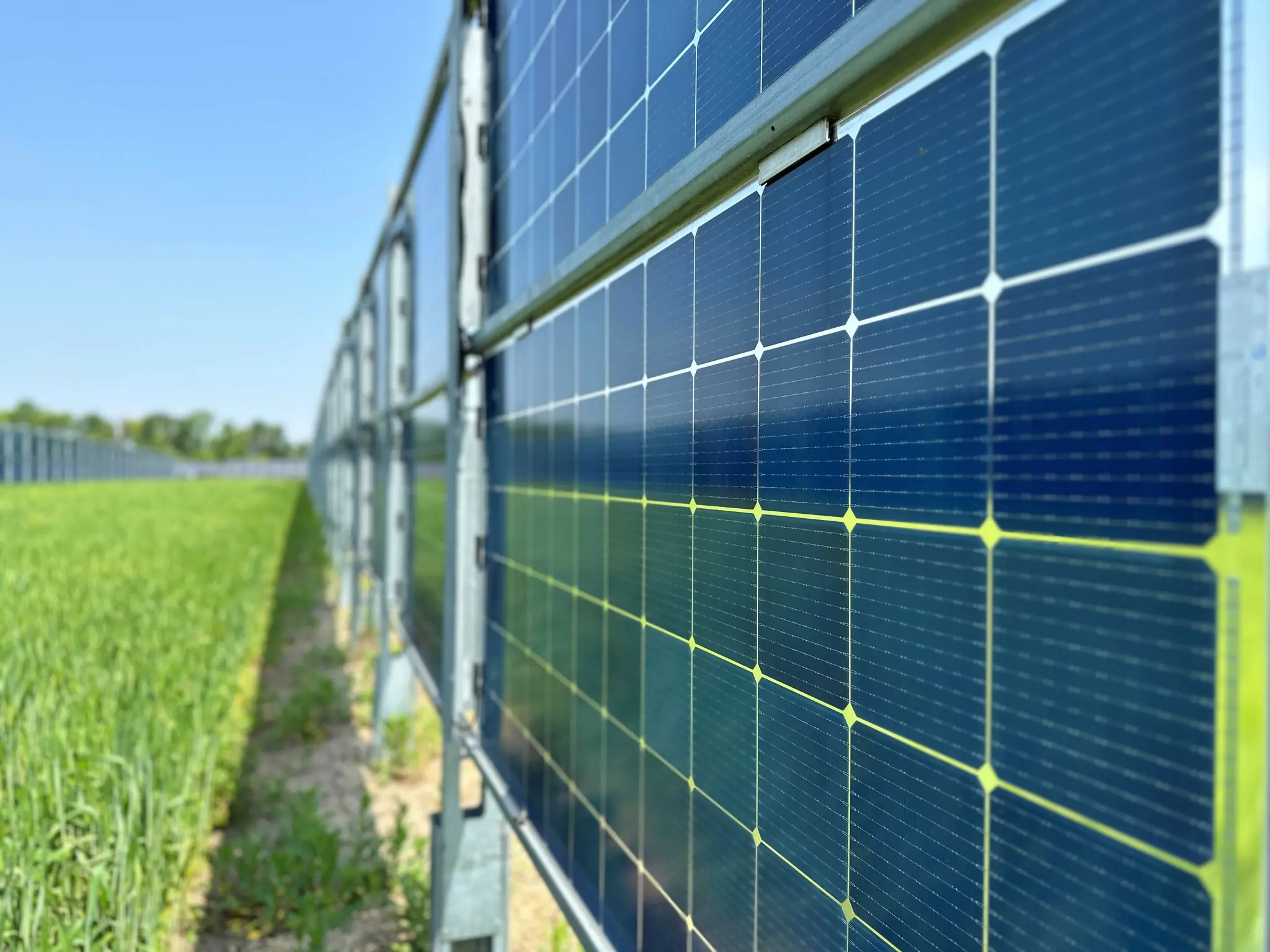 Vertikální panely míří na česká pole a rozšiřují možnosti agrovoltaiky