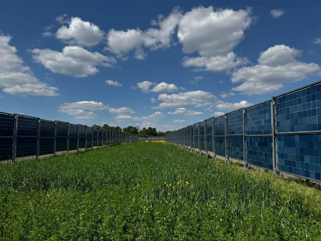 Česká republika – pět let práce na prosazení agrovoltaiky