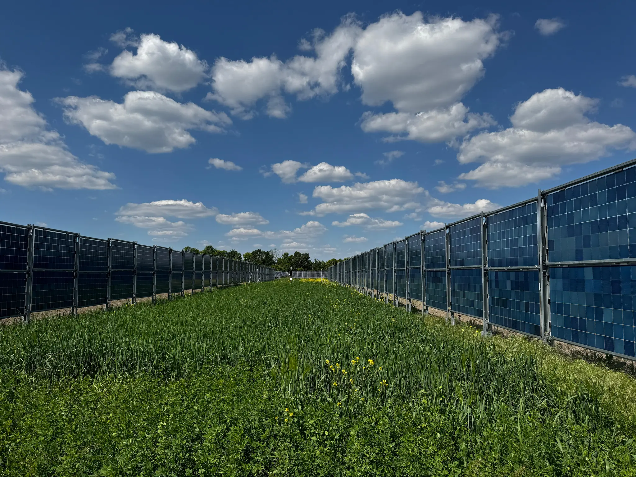 Exkurze za agrovoltaikou: Vertikální instalace WienEnergie