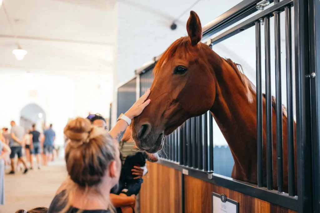 Stáje Emma Sophia Stables v Lichocevsi září i díky solárním panelům